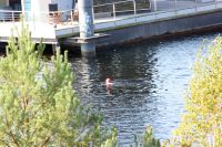 MarkusSchulze F60tria24SD 0047